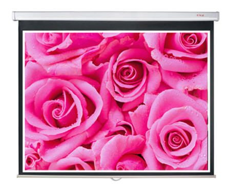 Màn chiếu treo tường ScreenPro WS3150